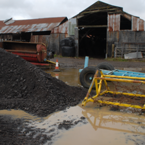 Agricultural Surveys